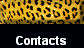 Contacts